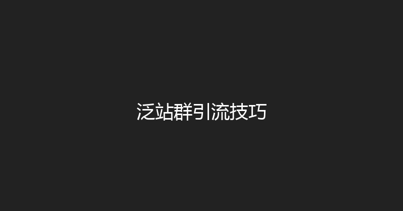 泛站群引流技巧 封面图