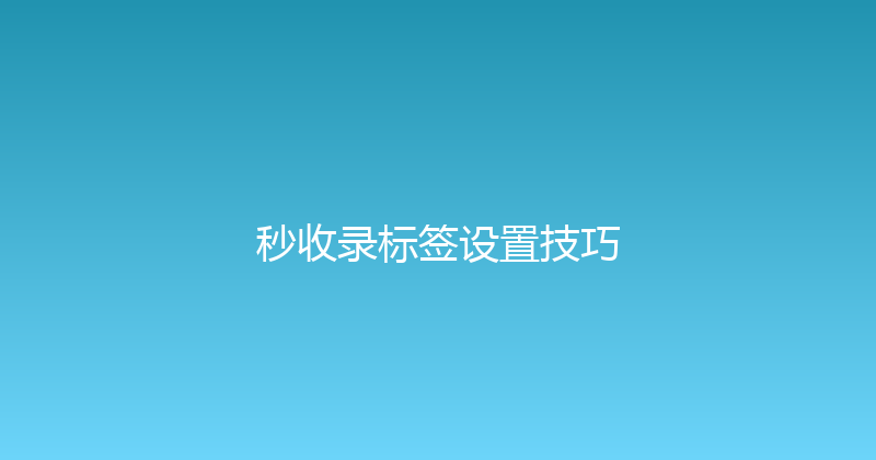 秒收录标签设置技巧 封面图