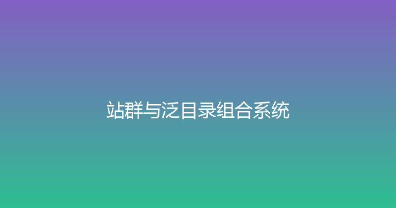 站群与泛目录组合系统 封面图