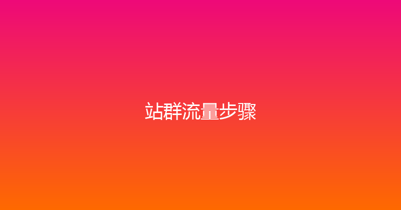 站群流量步骤 封面图