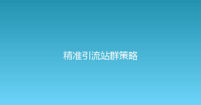精准引流站群策略 封面图